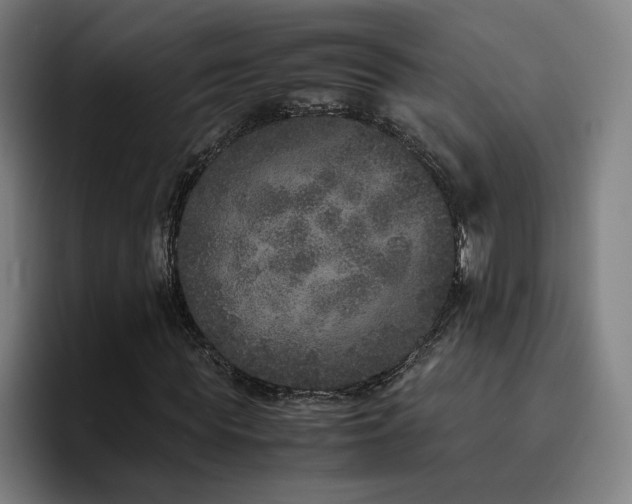 X0000094820819200711161526