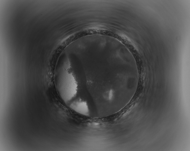 X0000094820822200711161526