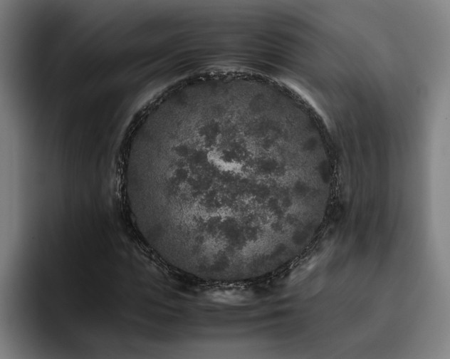 X0000094820823200711161526