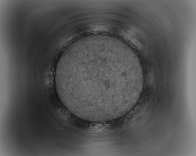 X0000094820824200711161526