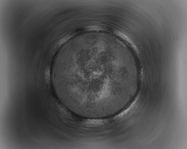 X0000094820825200711161526