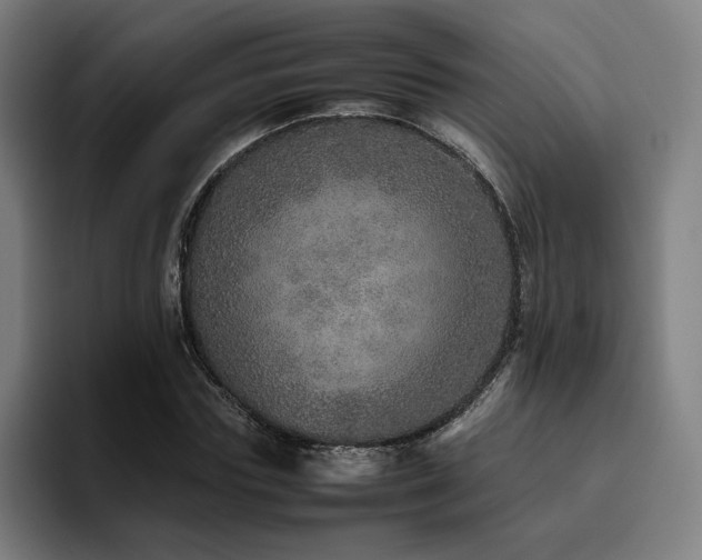 X0000094820827200711161526