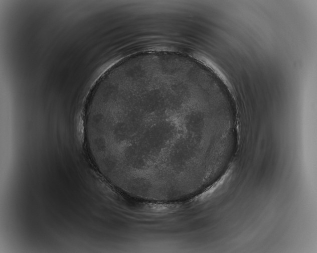 X0000094820829200711161526