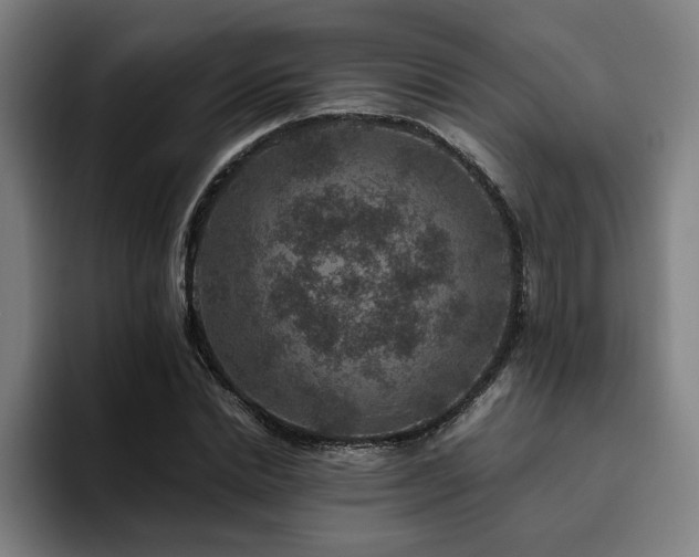 X0000094820830200711161526