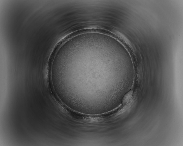 X0000094820831200711161526