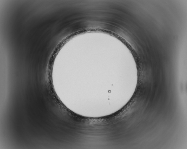 X0000094820832200711161526