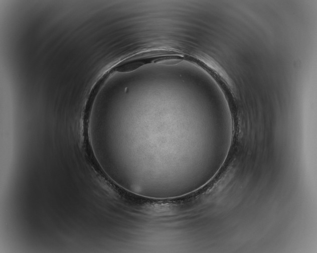 X0000094820834200711161526