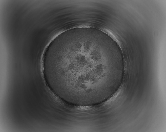 X0000094820835200711161526