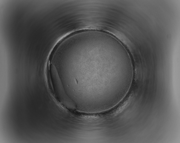 X0000094820838200711161526