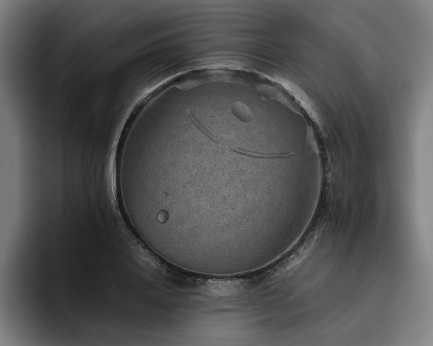 X0000094820840200711161526