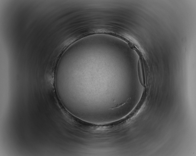 X0000094820841200711161526
