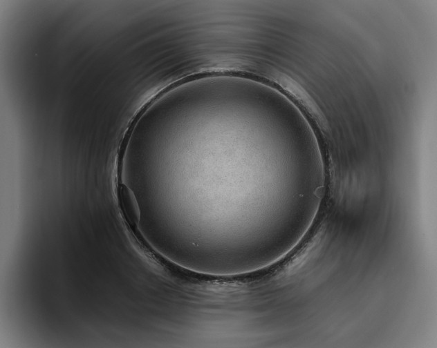 X0000094820842200711161526