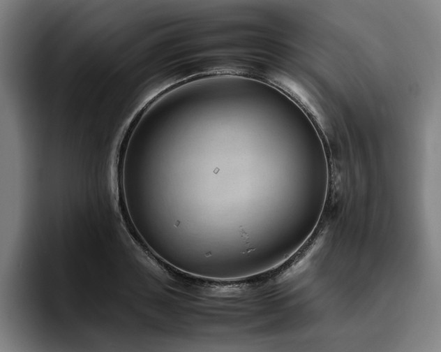 X0000094820843200711161526