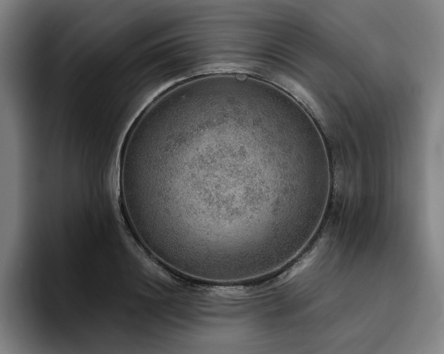 X0000094820844200711161526