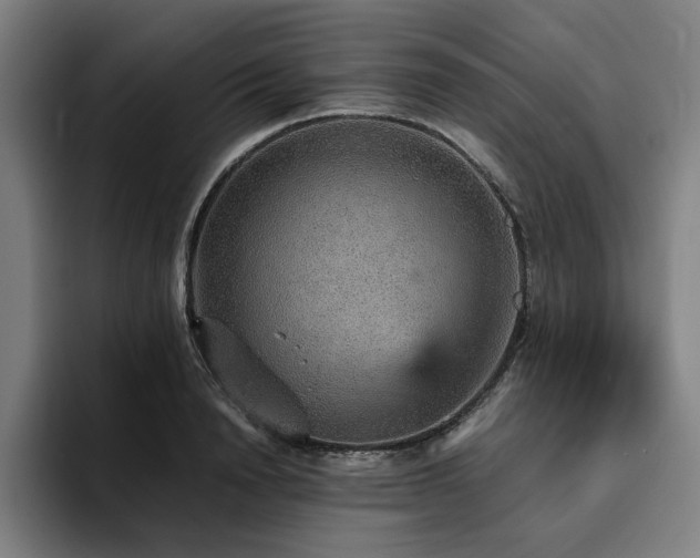 X0000094820846200711161526