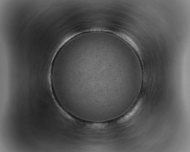 X0000094820847200711161526