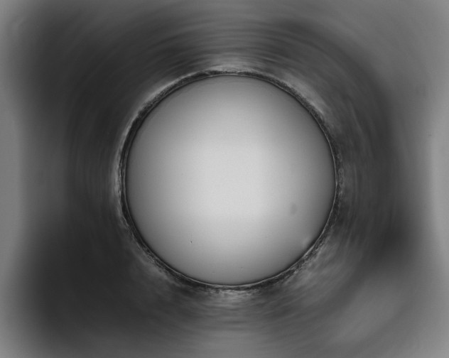 X0000094820848200711161526