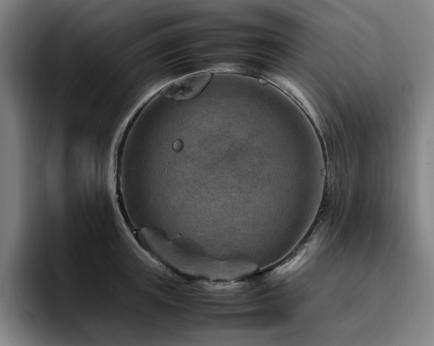 X0000094820851200711161526