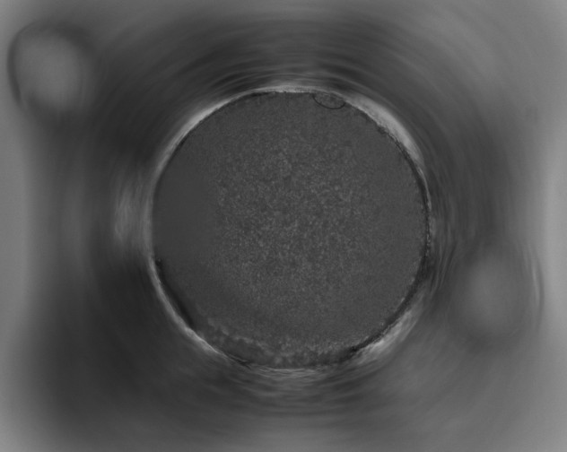 X0000094820855200711161526