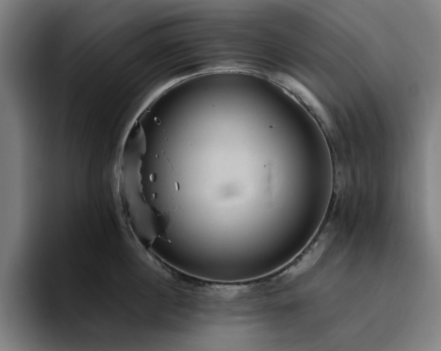 X0000094820860200711161526
