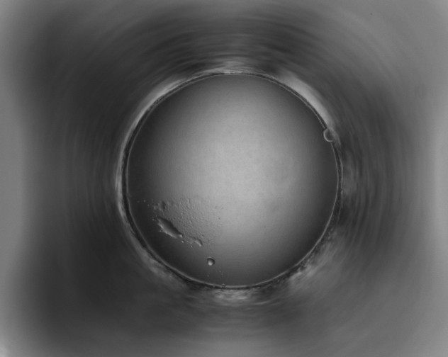 X0000094820861200711161526