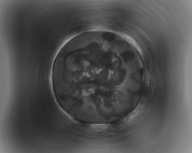 X0000094820863200711161526