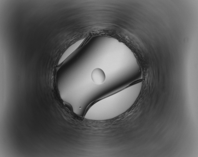 X0000094820868200711161526