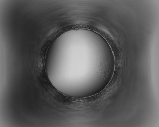 X0000094820869200711161526