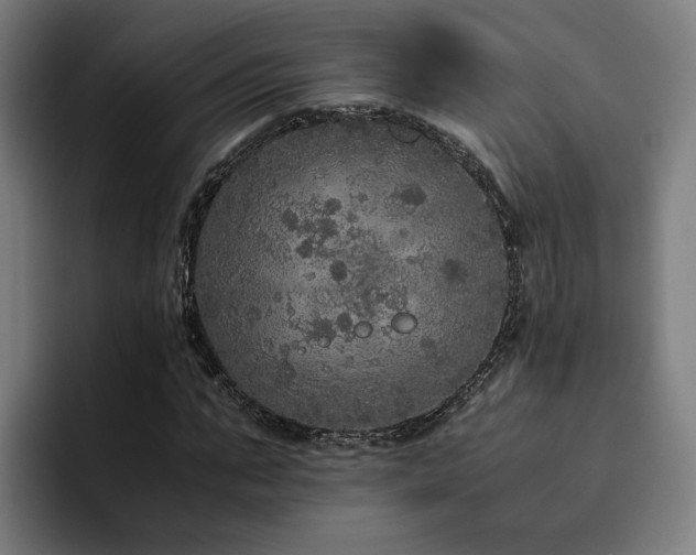 X0000094820871200711161526