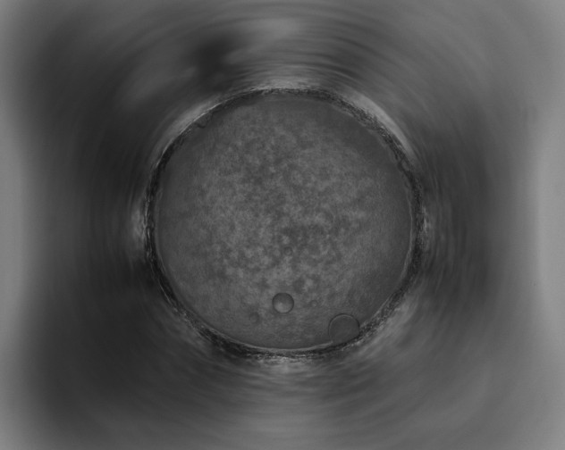 X0000094820874200711161526