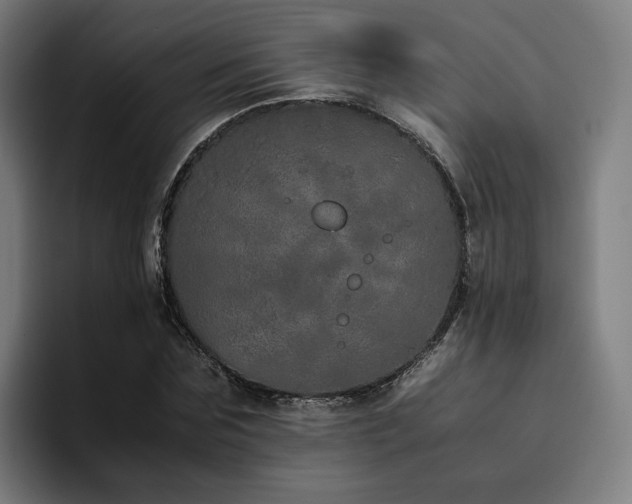 X0000094820875200711161526