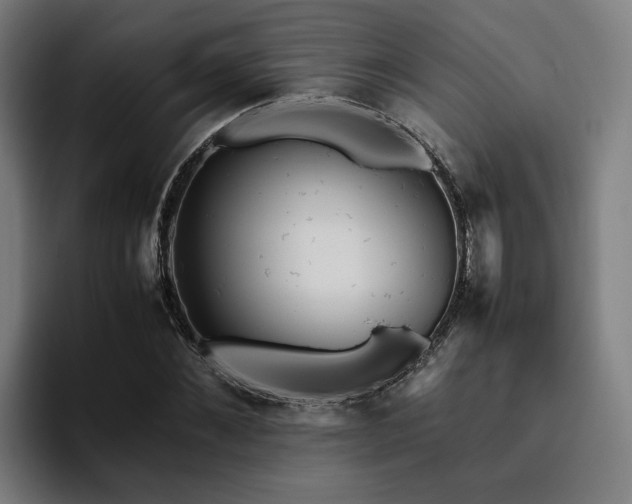 X0000094820876200711161526