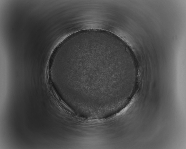 X0000094820877200711161526