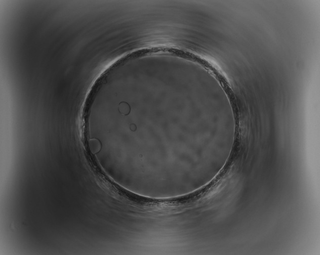X0000094820879200711161526