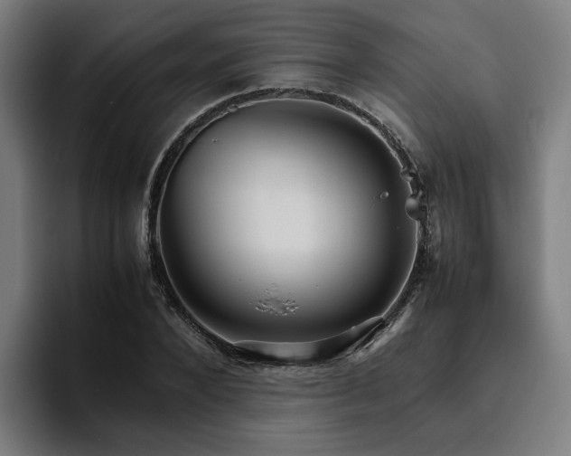 X0000094820880200711161526