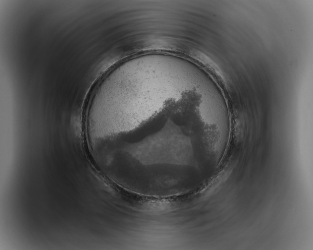 X0000094820882200711161525