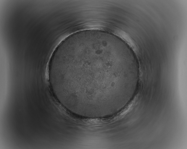 X0000094820883200711161525