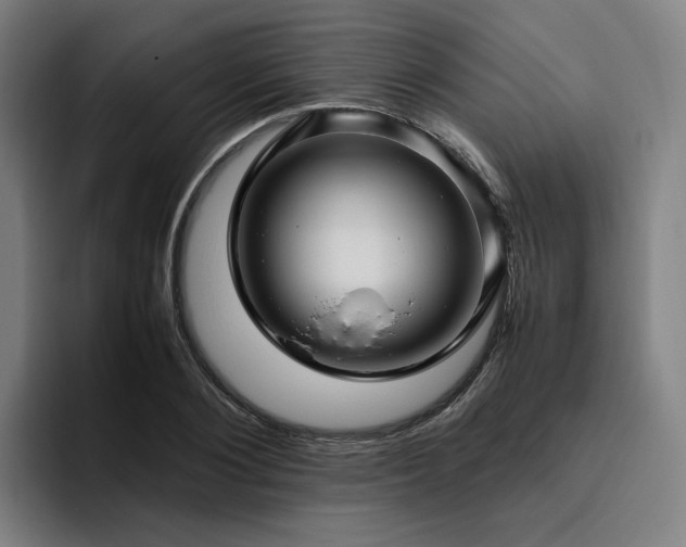 X0000094820884200711161525