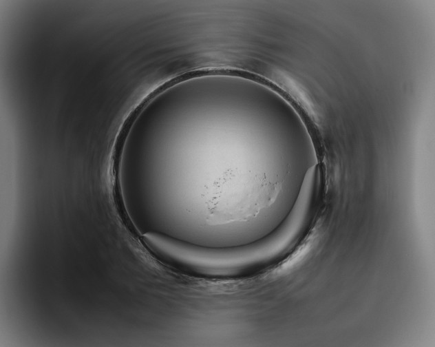 X0000094820885200711161525