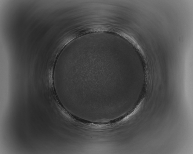 X0000094820889200711161525