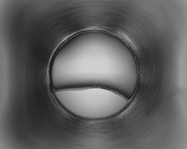 X0000094820892200711161525