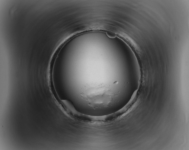X0000094820894200711161525