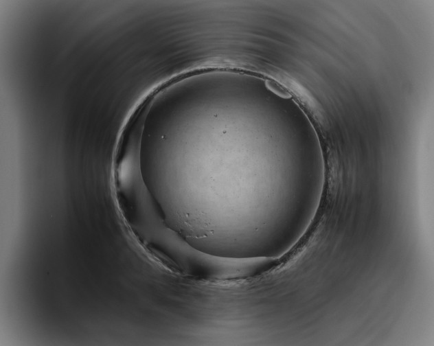 X0000094820896200711161525