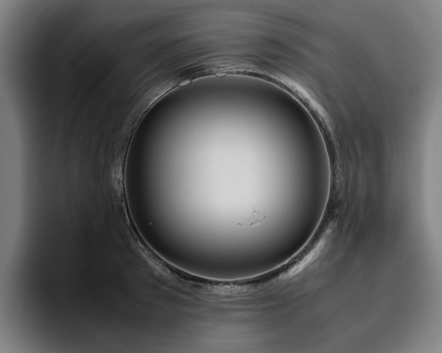 X0000094820897200711161525