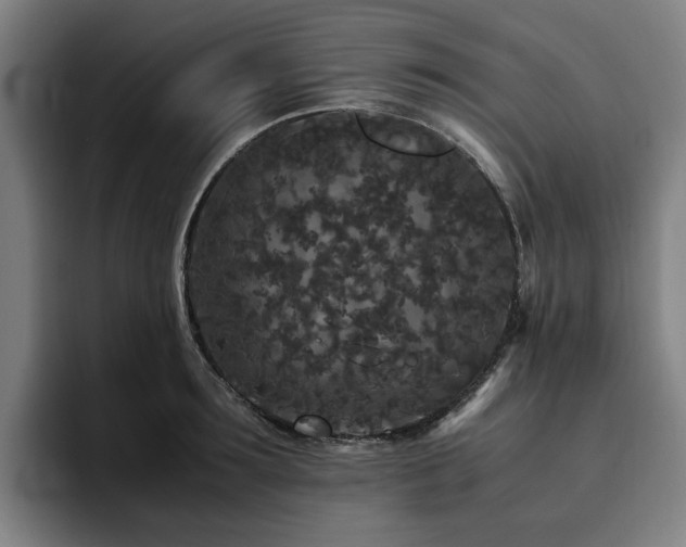 X0000094820899200711161525