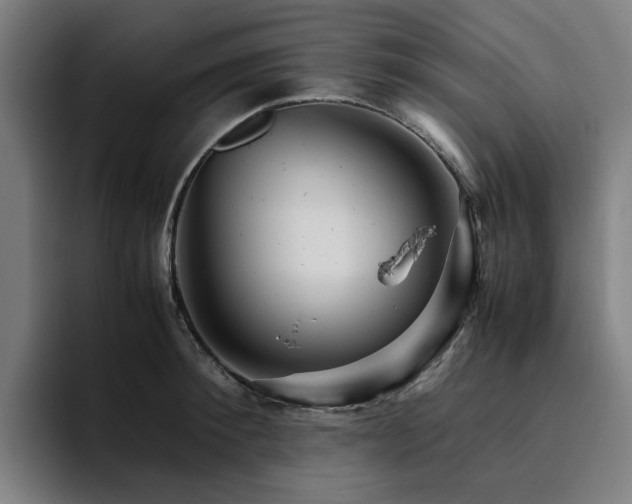 X0000094820900200711161525