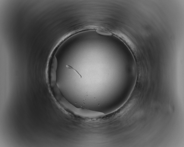 X0000094820902200711161525