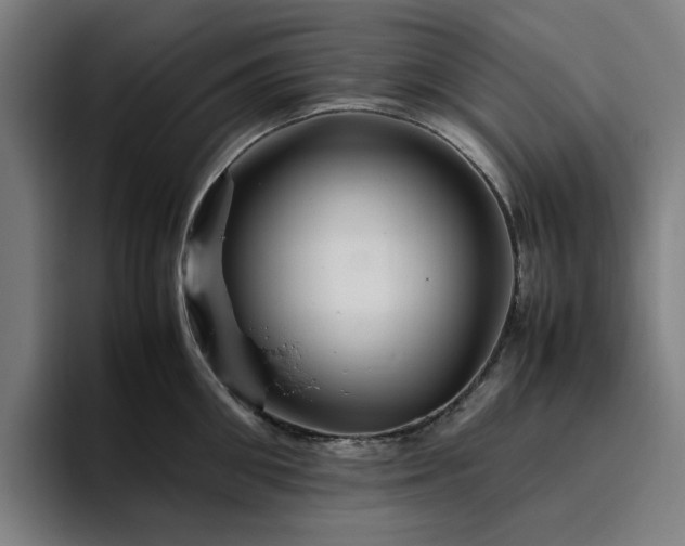 X0000094820906200711161525