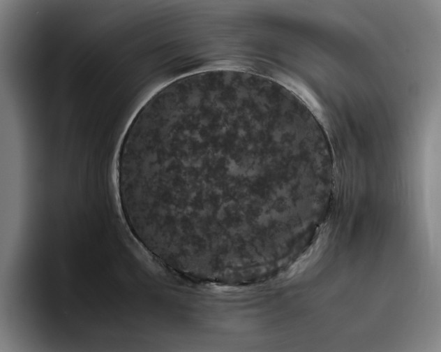 X0000094820907200711161525