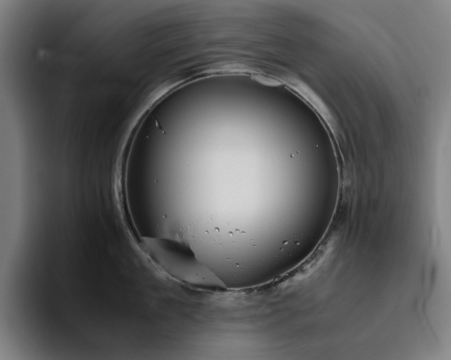 X0000094820909200711161525